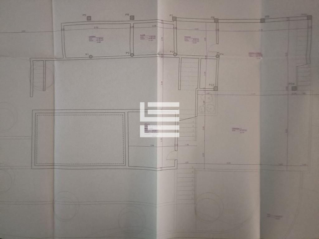 WhatsApp Image 2025-10-13 at 09.43.44